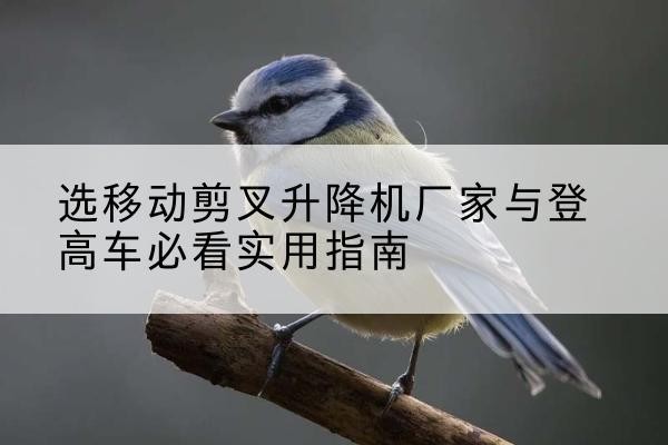 郸城电动升降机厂家-选移动剪叉升降机厂家与登高车必看实用指南