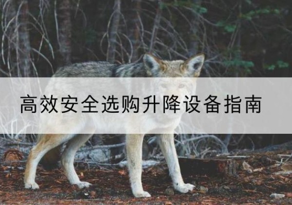 郸城升降货梯厂家推荐-*安全选购升降设备指南