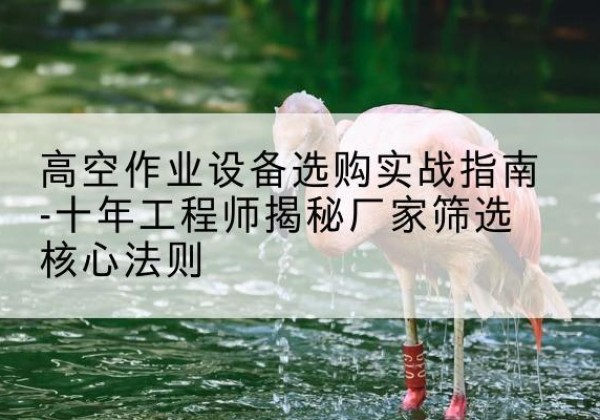 郸城剪叉式升降机厂家-高空作业设备选购实战指南-十年工程师揭秘厂家筛选核心法则