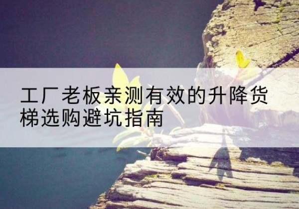 郸城升降货梯怎么选-工厂老板亲测有效的升降货梯选购避坑指南